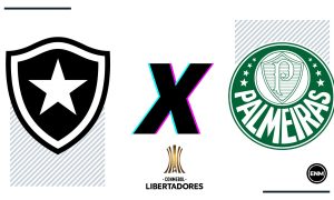 Palpitão do jogo Botafogo contra Palmeiras. (Arte: ENM)