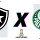 Palpitão do jogo Botafogo contra Palmeiras. (Arte: ENM)