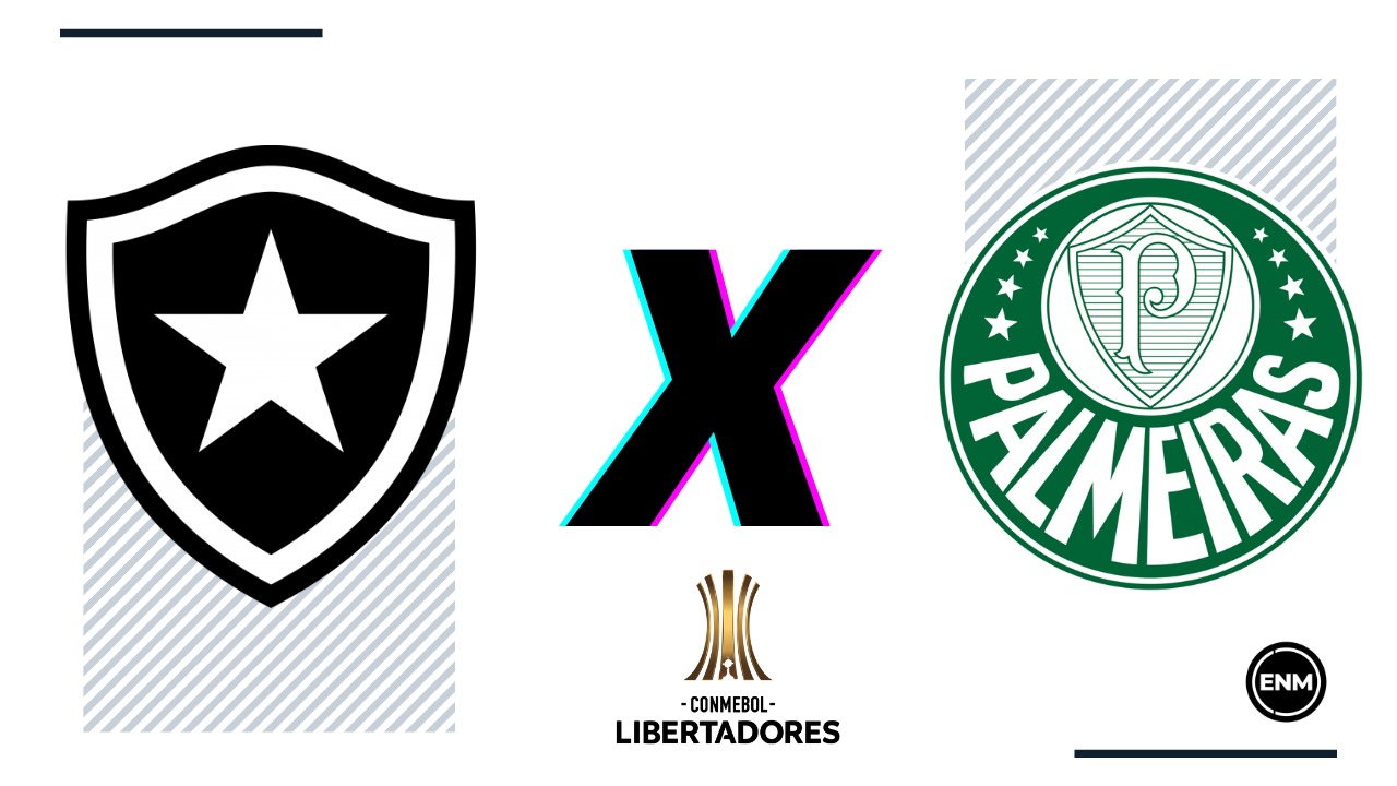 Palpitão do jogo Botafogo contra Palmeiras. (Arte: ENM)