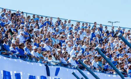 Torcida do Avaí tem comparecido em bom número (Fotos: Laysa Silva/@avaifc)