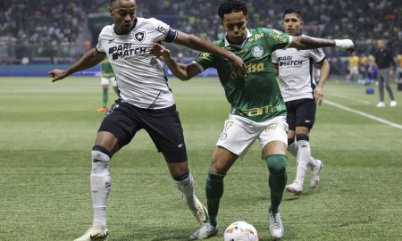 Palmeiras x Botafogo (Photo by Alexandre Schneider/Getty Images