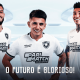 Botafogo 2024 (Foto: Divulgação / Site oficial Botafogo)