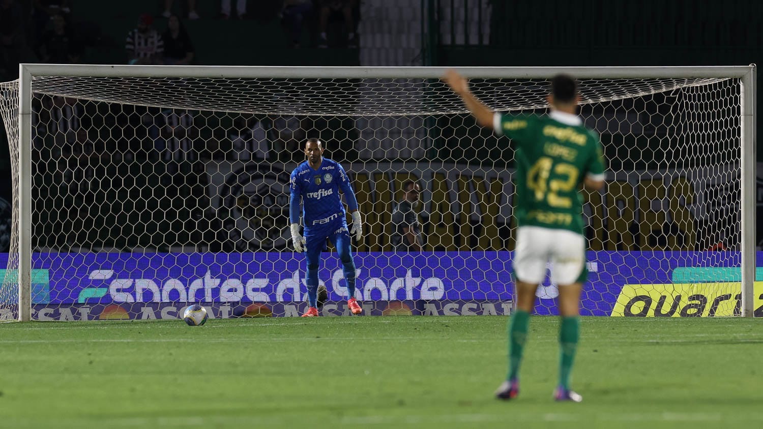 (Foto: César Grecco/Palmeiras)