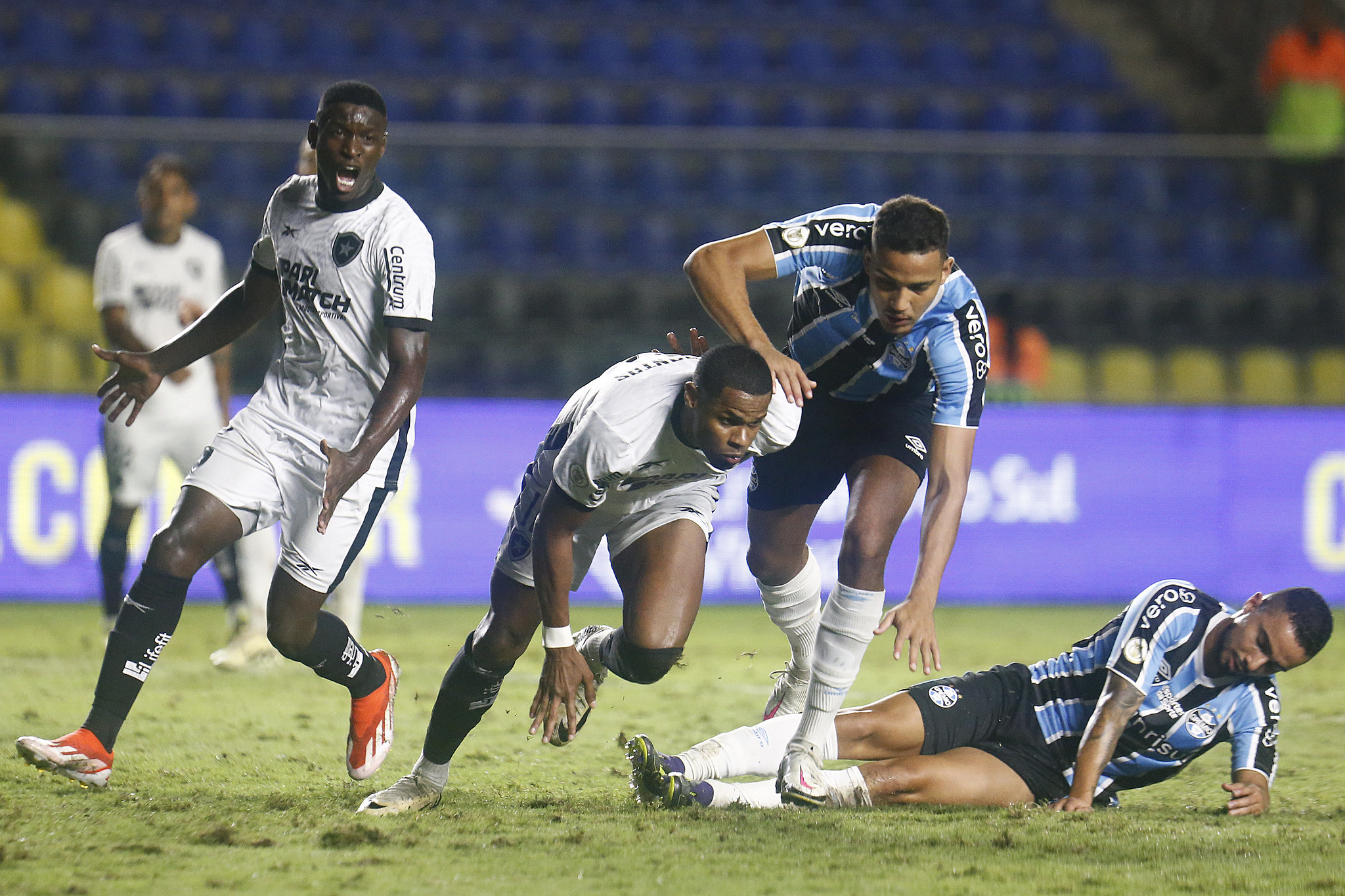 Botafogo x Grêmio. ( Foto: Vitor Silva/Botafogo)