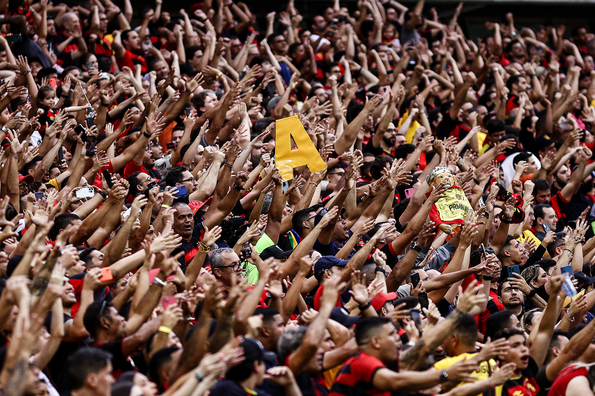 (Foto: Paulo Paiva/Sport Recife)