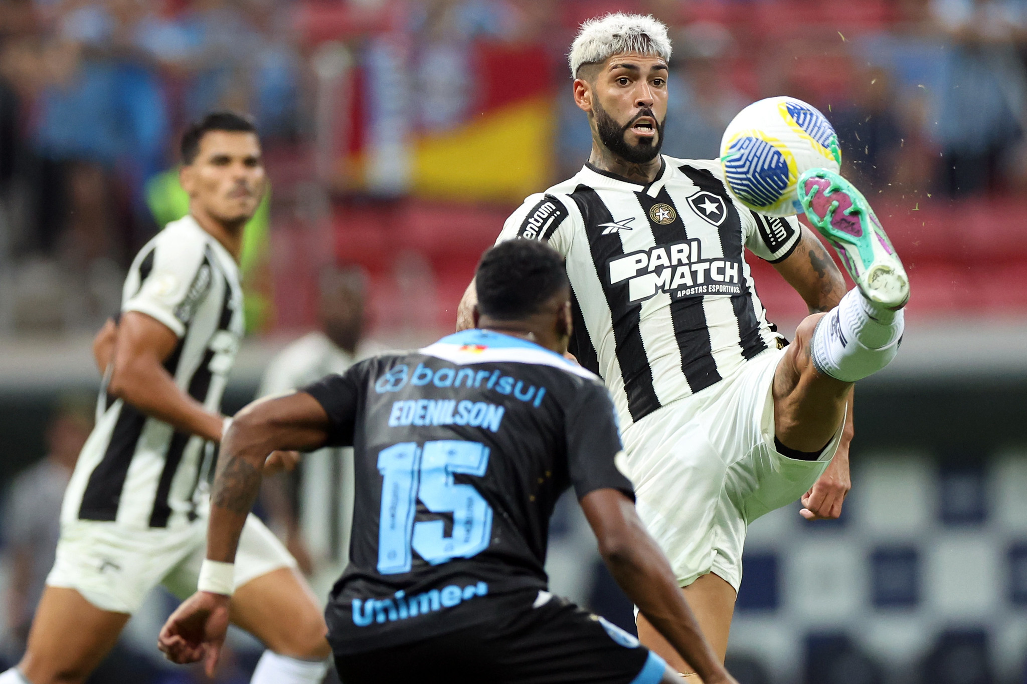 Botafogo x Grêmio. (Foto: Vitor Silva/Botafogo)