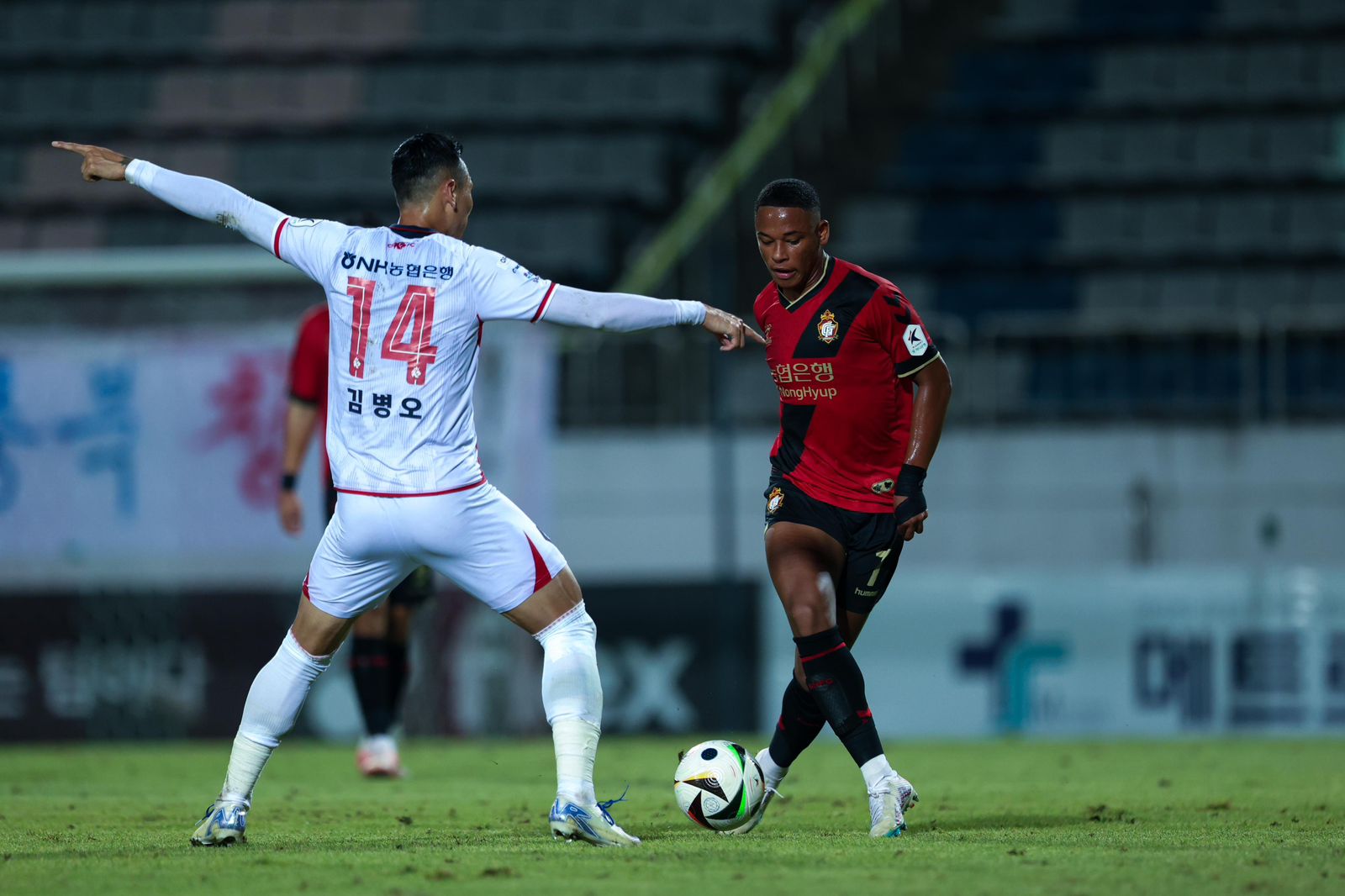 Felipe Fonseca (Foto: Divulgação)