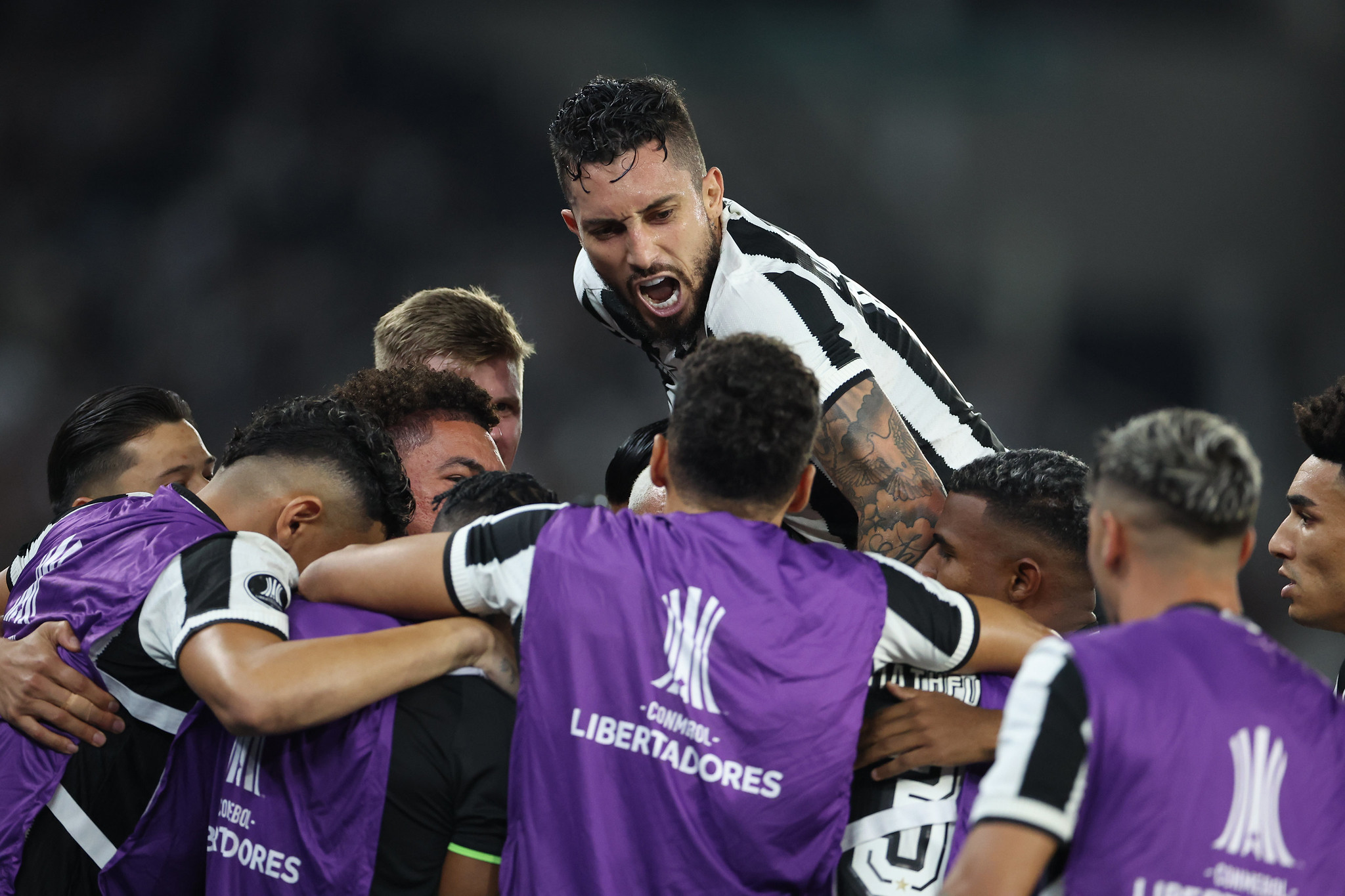 Botafogo goleia mas Artur Jorge mantém cautela (Foto: Vítor Silva/Botafogo)