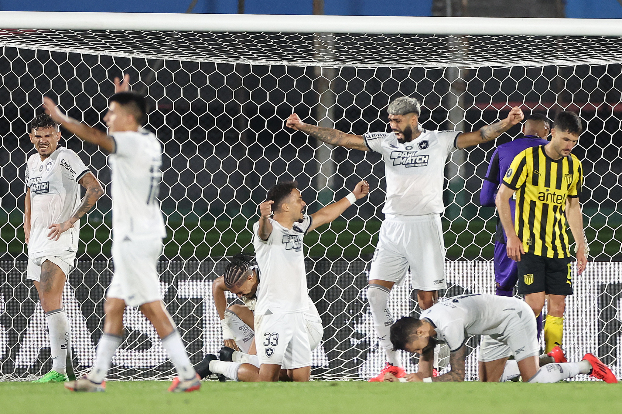 Jogadores comemorando a classificação. ( Foto: Vitor Silva/Botafogo)