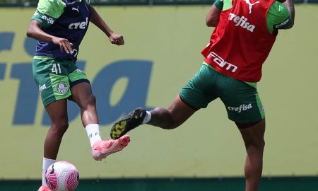 (Foto: Cesar Greco/Palmeiras)