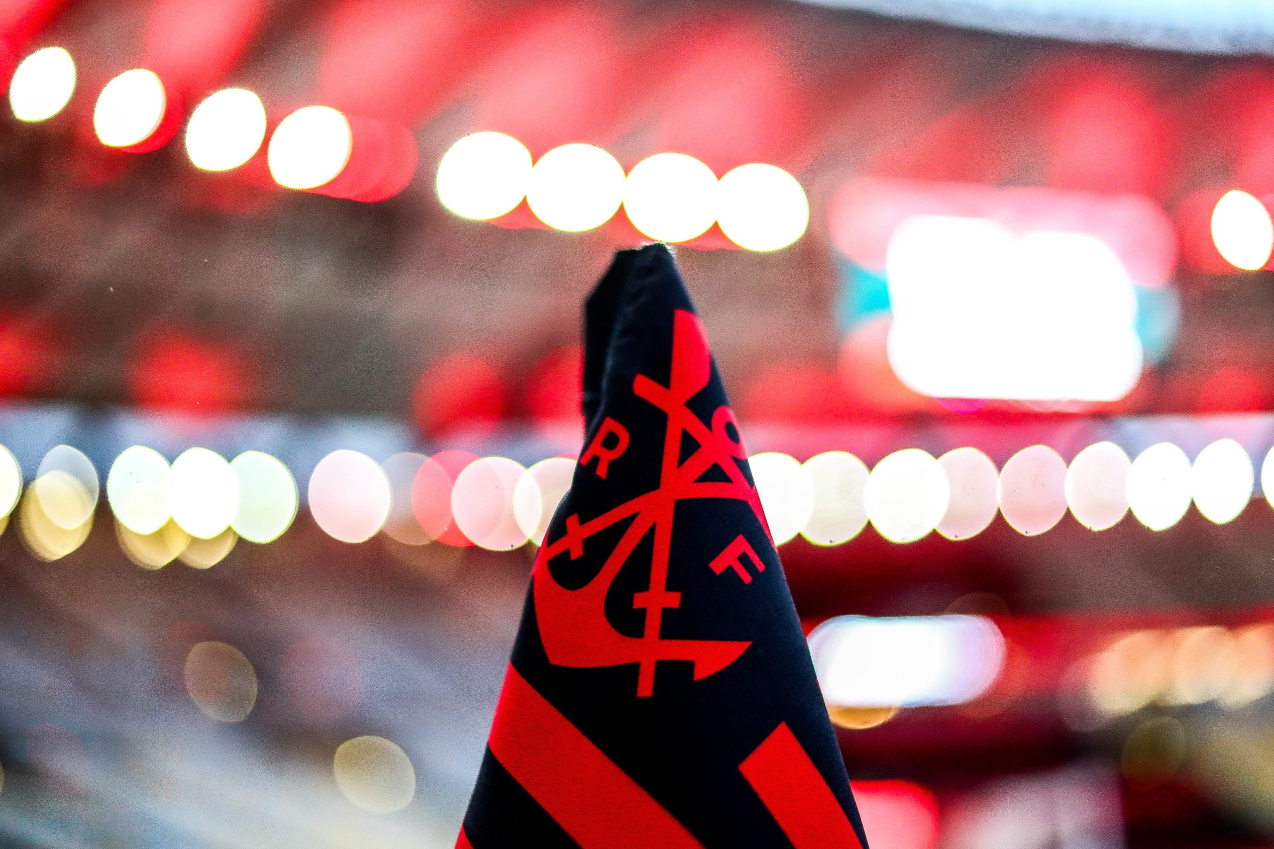 Flamengo (Foto: Gilvan de Souza /CRF)