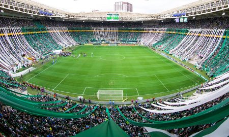 (Foto: Site Oficial Palmeiras)