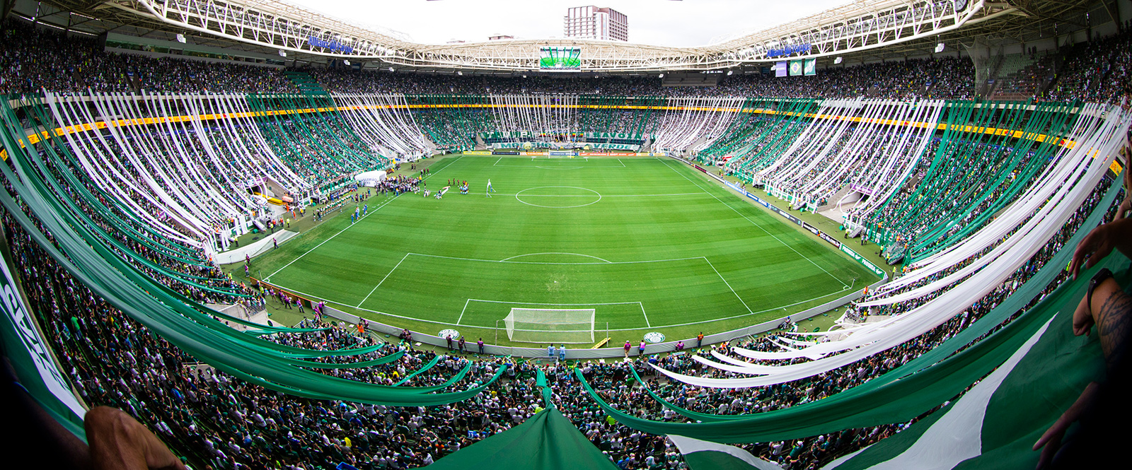 (Foto: Site Oficial Palmeiras)