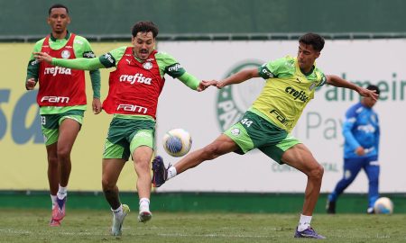 (Foto: Cesar Greco/Palmeiras)