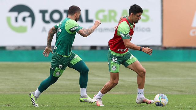 (Foto: Cesar Greco/Palmeiras)