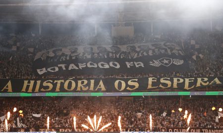 Festa da torcida do Botafogo contra o Vitória (Foto: Vítor Silva/Botafogo)