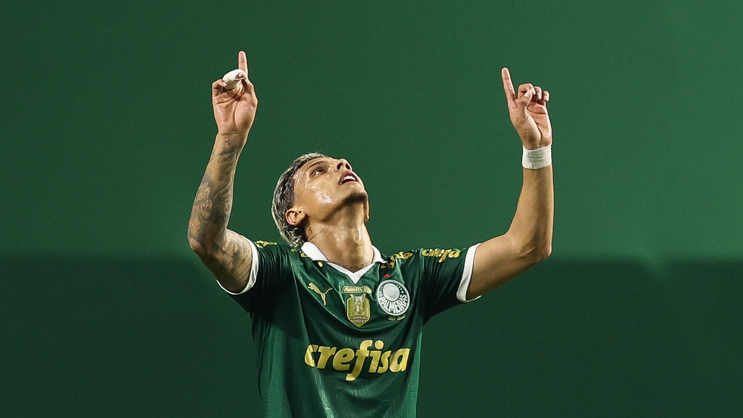 (Foto: Cesar Greco/Palmeiras)