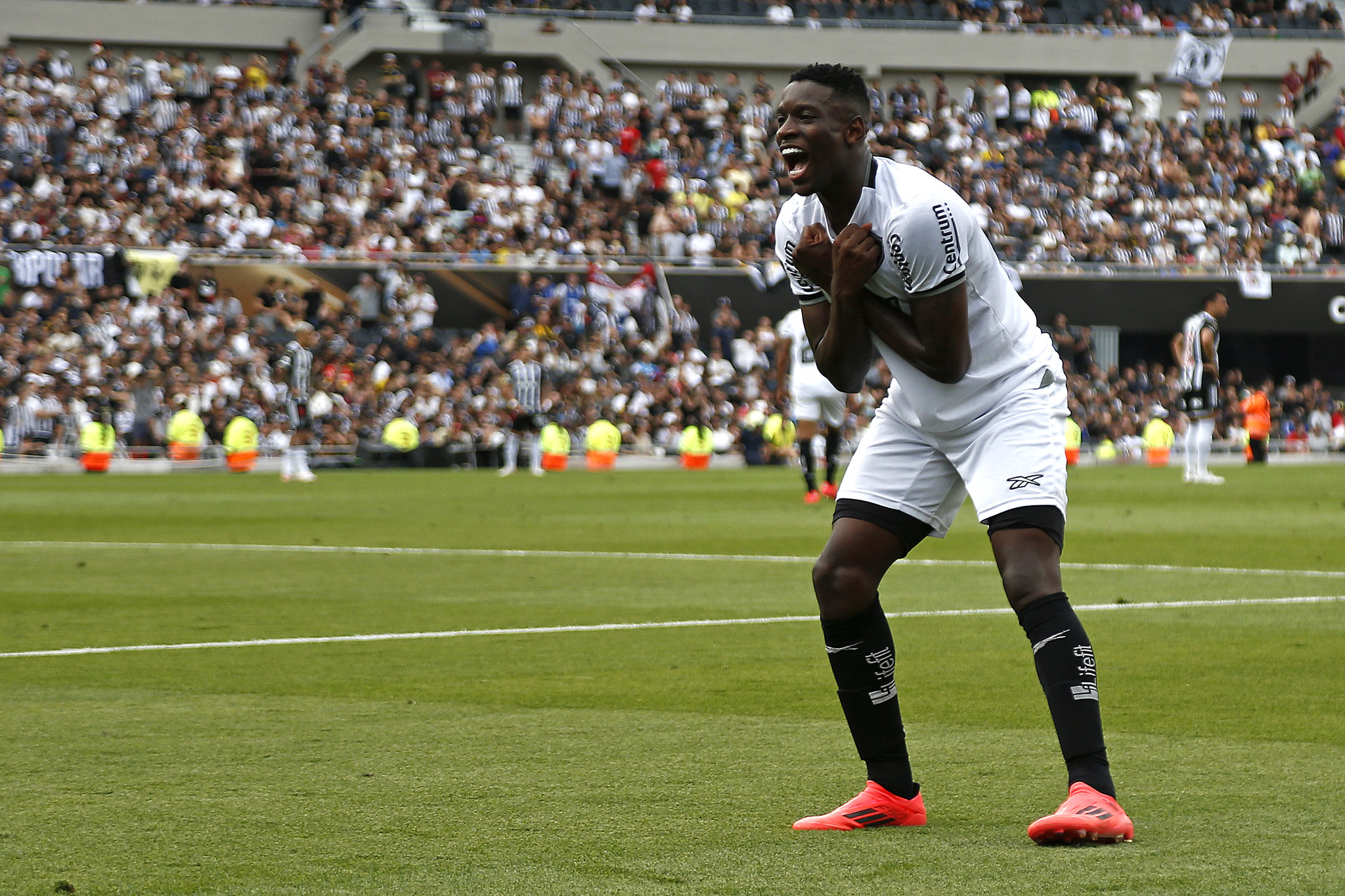 Foto: Vítor Silva/Botafogo