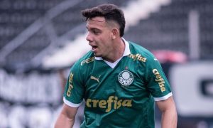 Daniel Silva no Palmeiras (Foto: Divulgação)