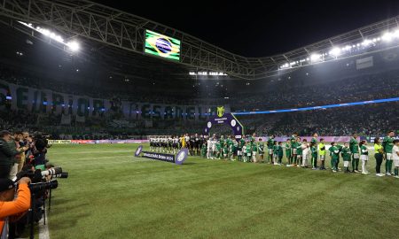 (Foto: César Grecco/ Palmeiras)