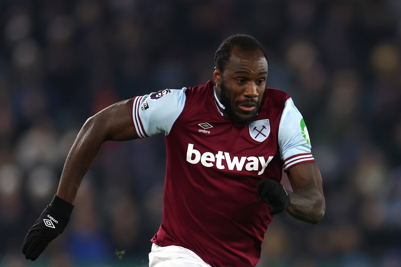 Antonio. (Foto: Alex Pantling/Getty Images)