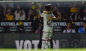 Flamengo faz boa segunda etapa e goleia Criciúma (Foto: Divulgação/ Flamengo)