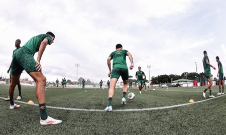 Reapresentação Fluminense (Foto: Lucas Merçon/Fluminense)