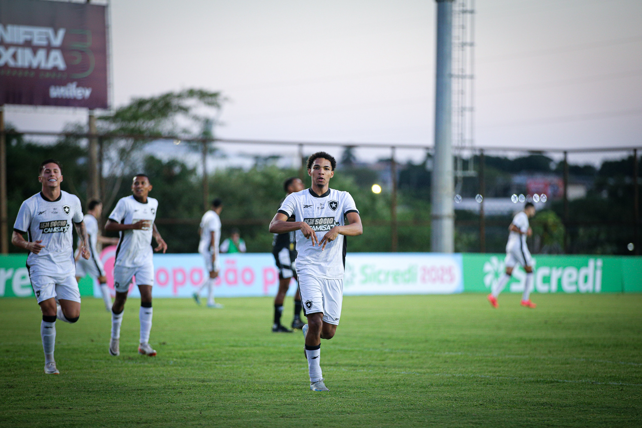 Time do Botafogo comemorando o gol. (Foto:Henrique Lima/Botafogo