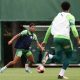 Rony durante treino de Pré-temporada na Academia de Futebol. (Foto: Cesar Greco/Palmeiras.)