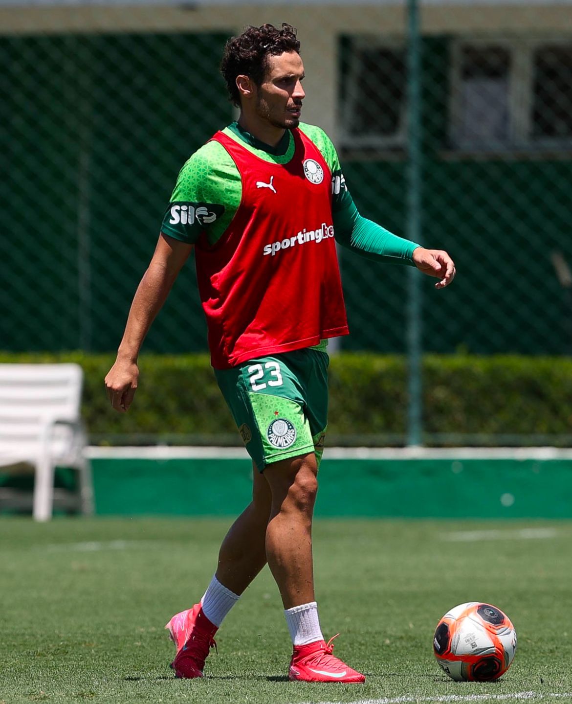 Veiga deve ser titular em clássico contra Santos (Foto: César Greco/Palmeiras)