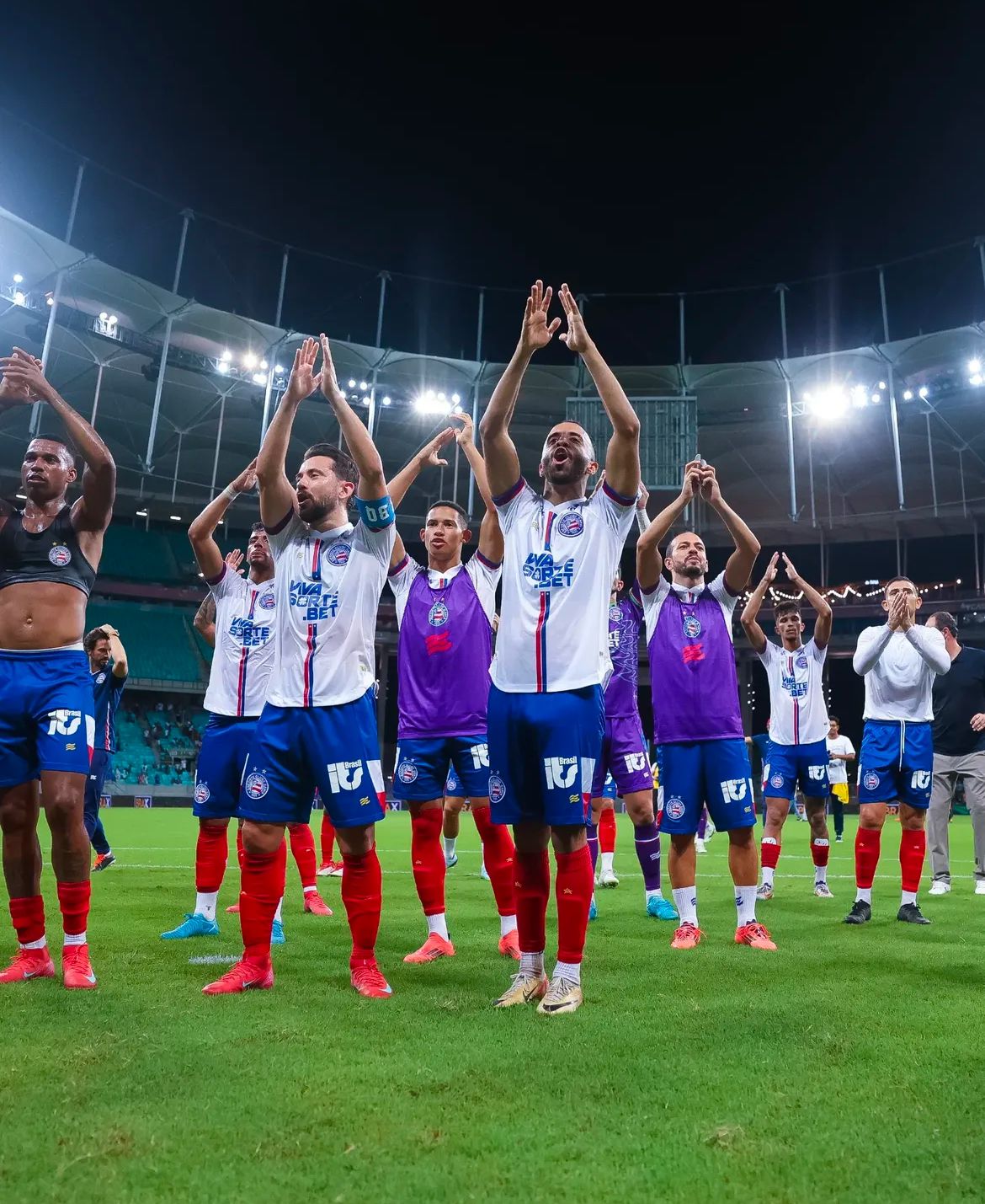 (Foto: Catfbrandao / Divulgação / Bahia)