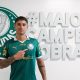 (Foto: Fabio Menotti/Palmeiras/by Canon)