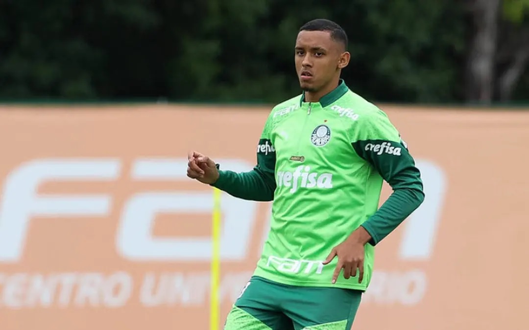 Michel, zagueiro do Palmeiras. (Foto: Cesar Greco/SEP)