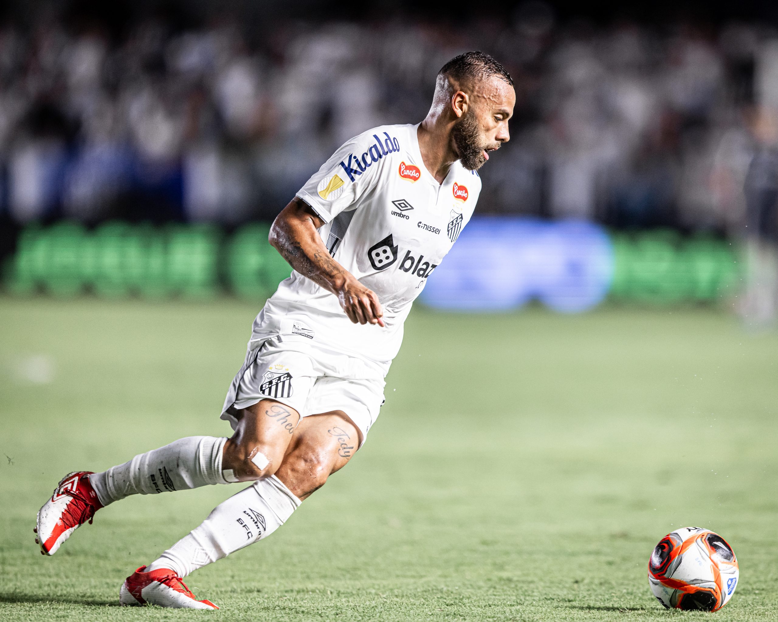 Guilherme (Foto: Raul Bareta/ Santos FC)