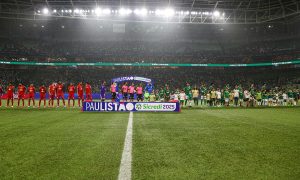 O gramado sintético do Allianz Parque. (Foto: Cesar Greco/Palmeiras).