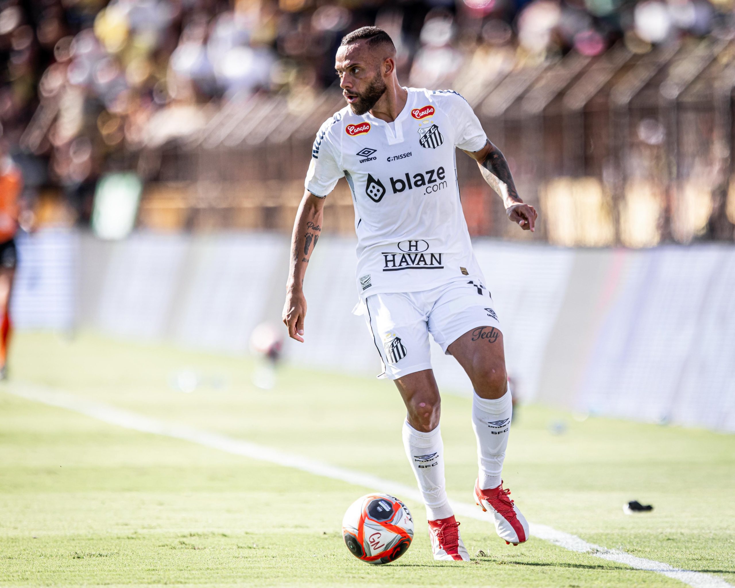 Guilherme atuando pelo Santos x Novorizontino (Foto: Divulgação/Santos FC)