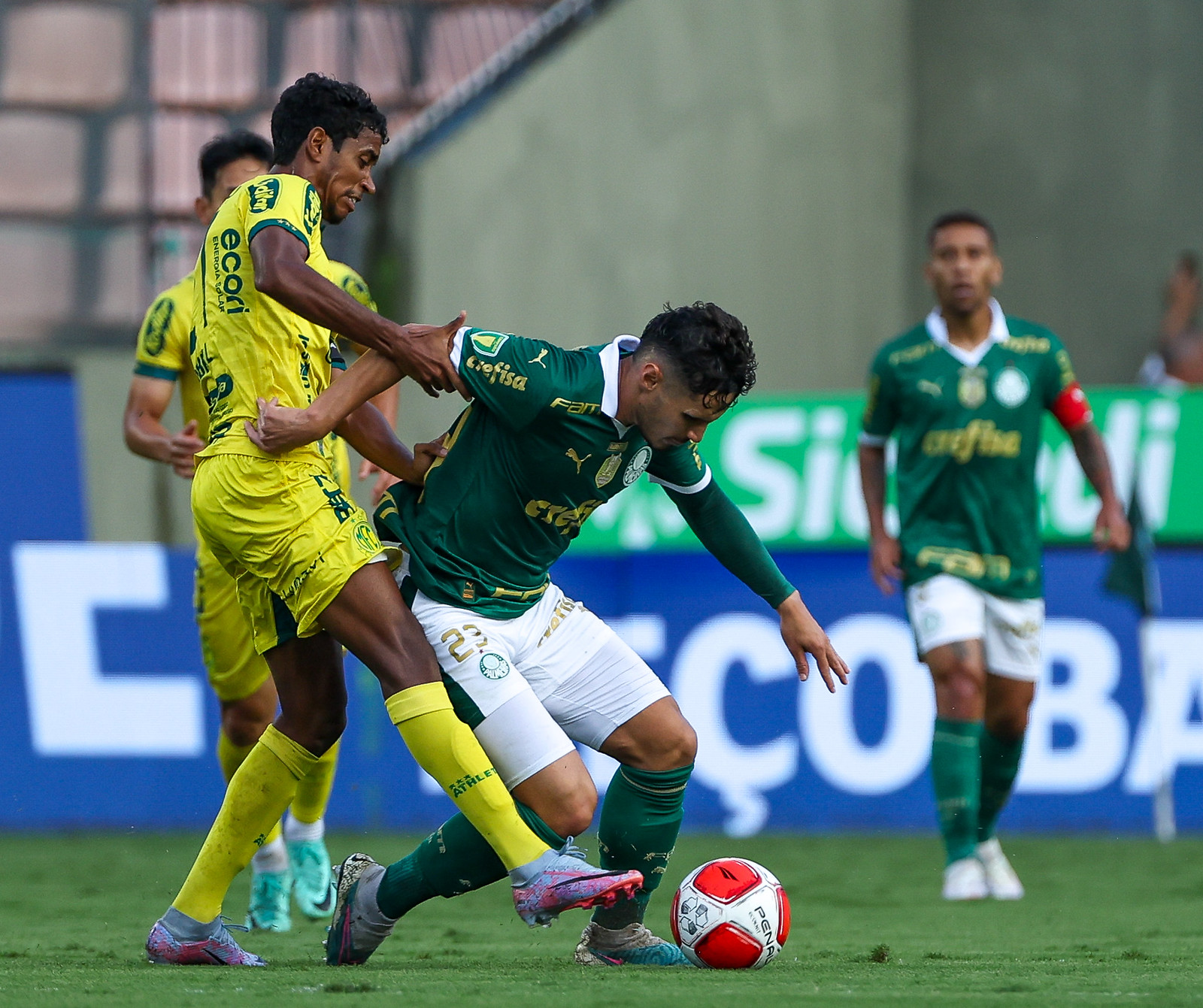 (Foto: Fábio Menotti/Palmeiras