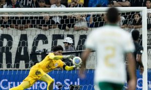 (Foto: Rodrigo Coca /Agência Corinthians)