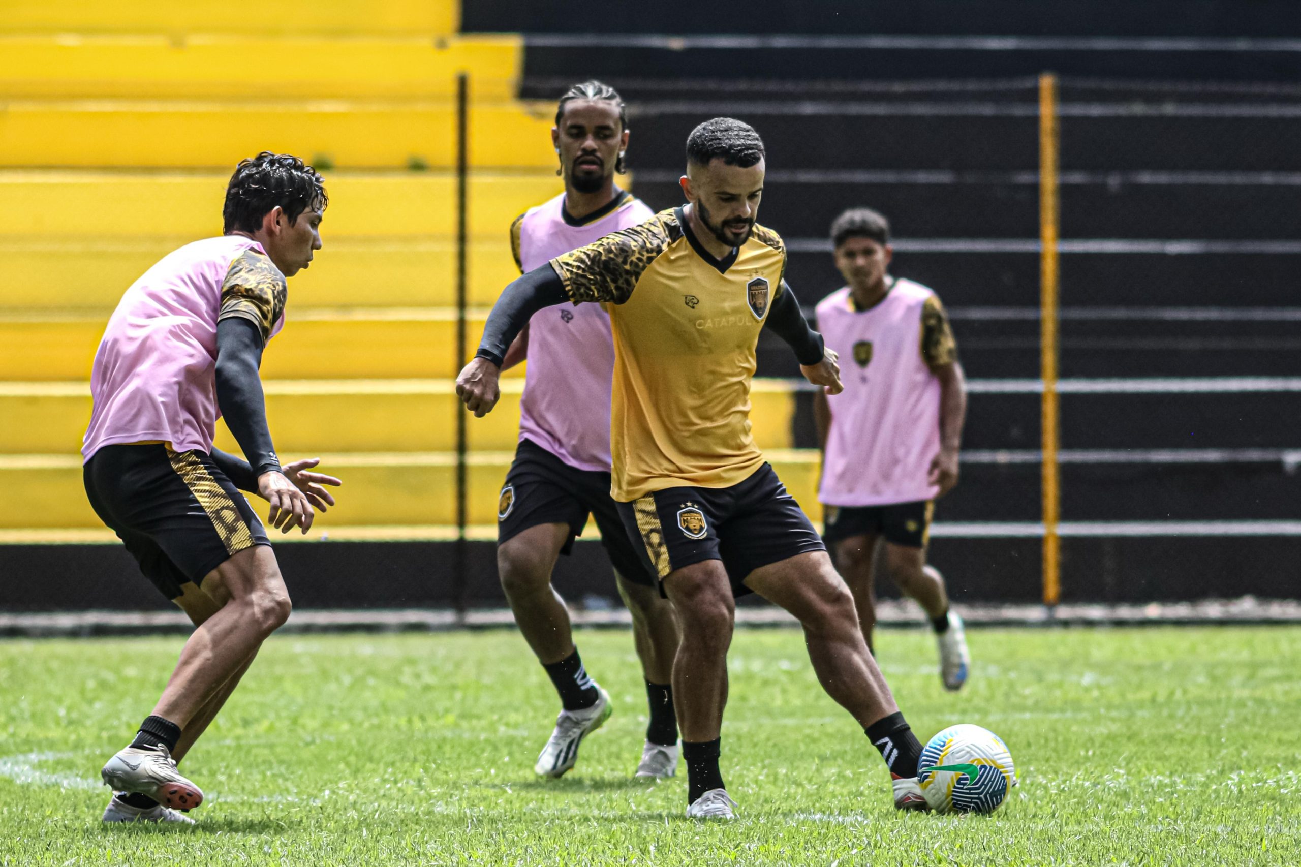 (Foto: João Normando/AMFC)