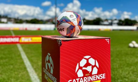 A bola do Campeonato Catarinense. (Foto: Alessandra Seidel/ACF)