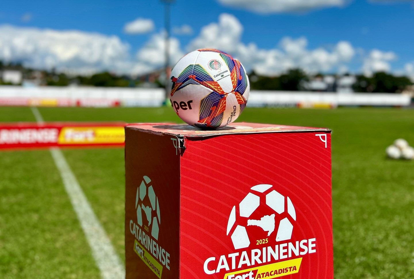 A bola do Campeonato Catarinense. (Foto: Alessandra Seidel/ACF)