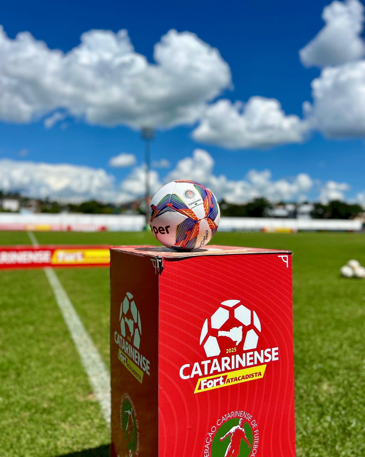 A bola do Campeonato Catarinense. (Foto: Alessandra Seidel/ACF)