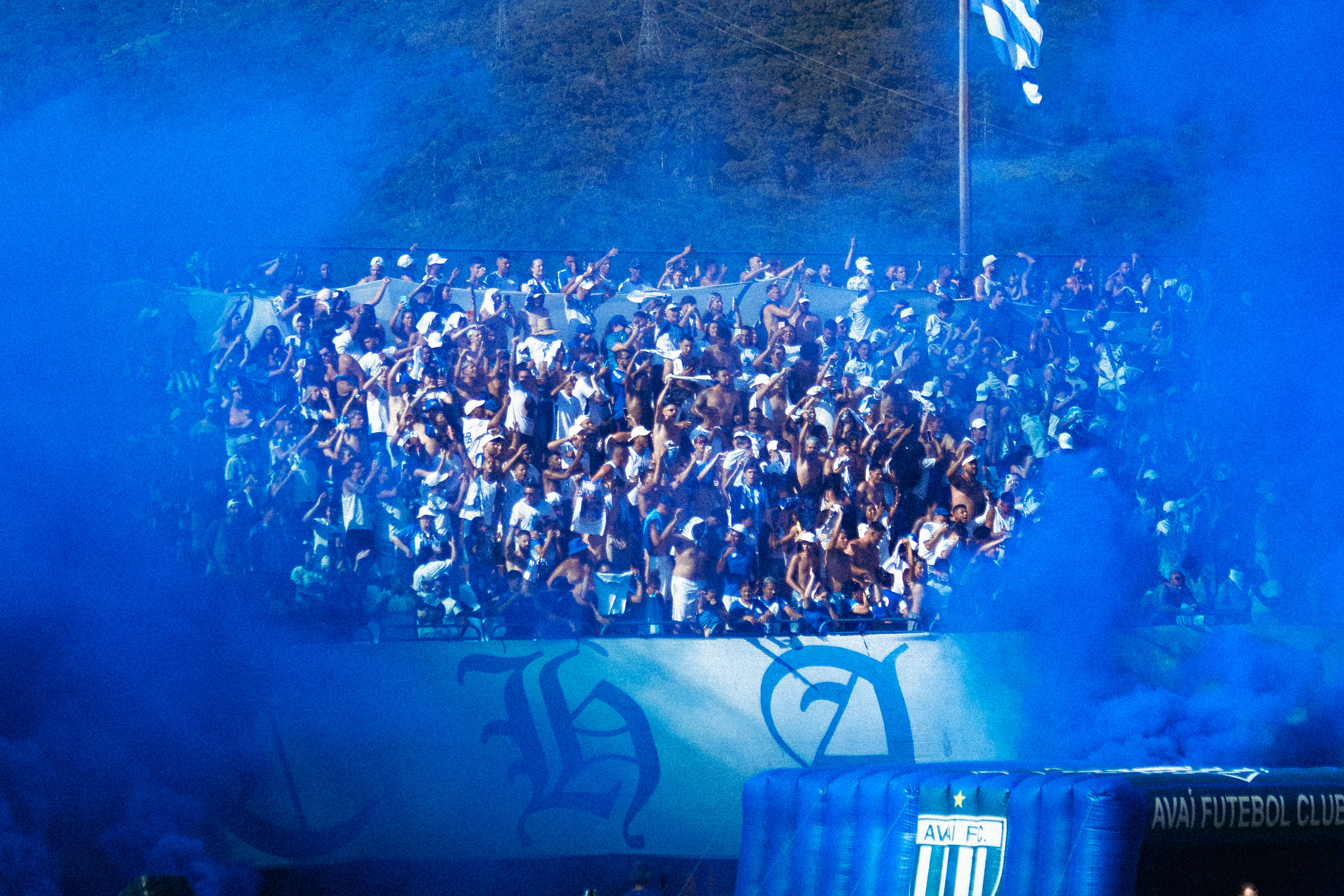 Torcida do Avaí. (Foto: Karolina Silva/AFC)