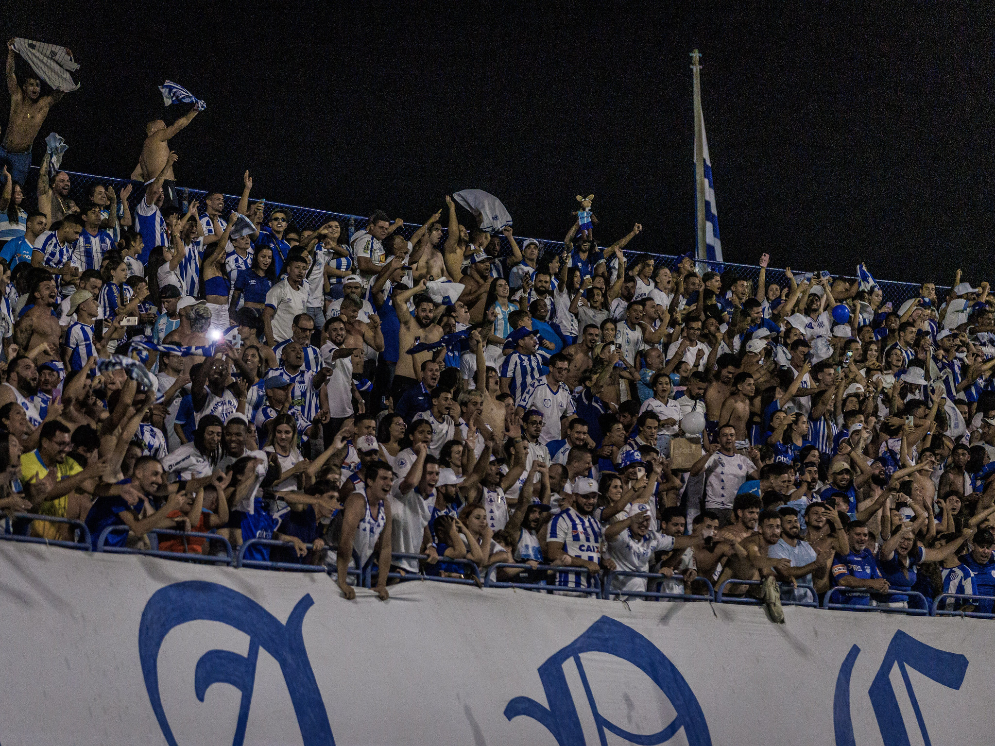 Torcida do Avaí. (Foto: Fabiano Rateke/AFC)