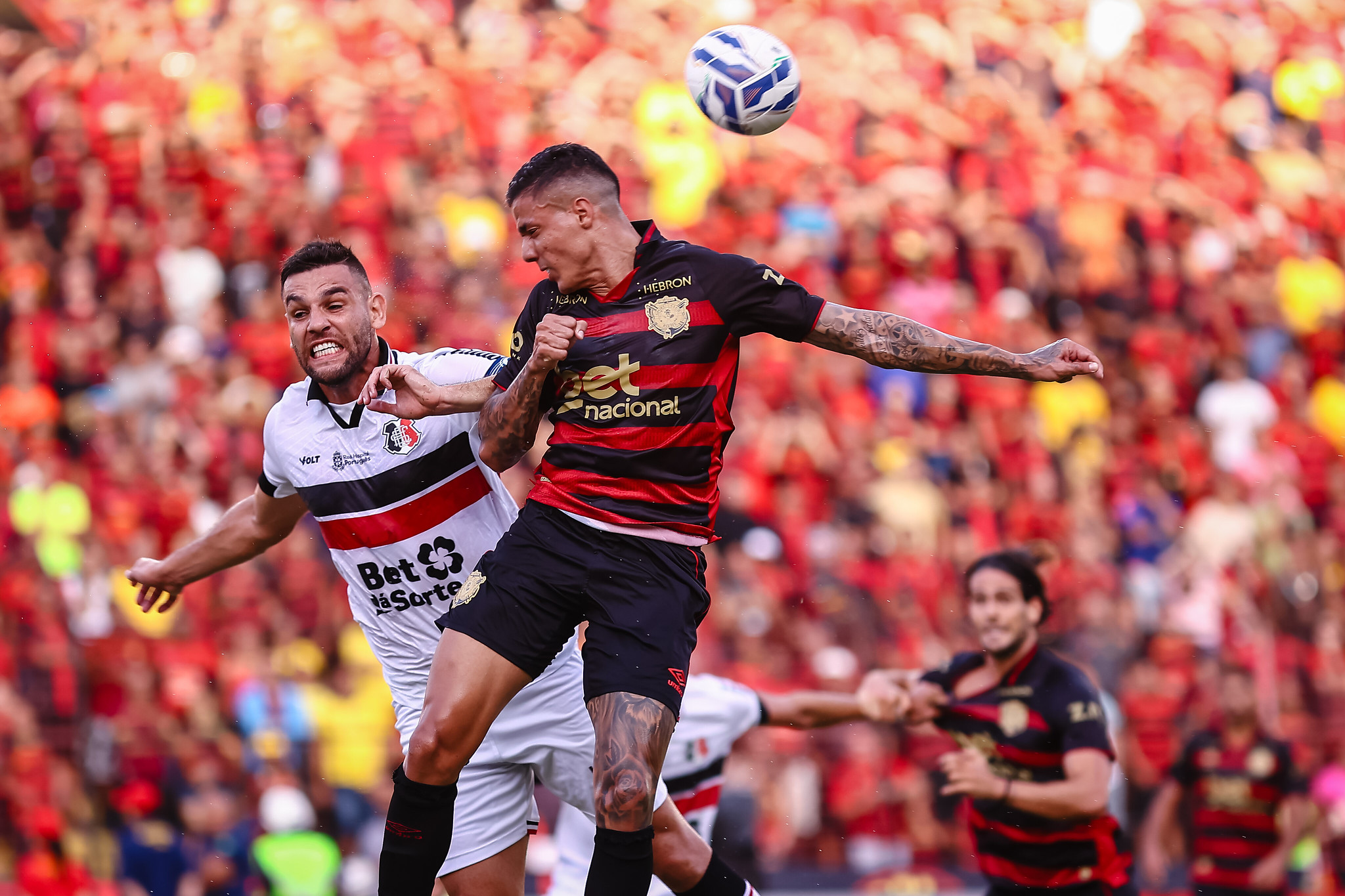 (Foto: Paulo Paiva / Sport Recife)