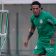 (Foto: Cesar Greco/Palmeiras)