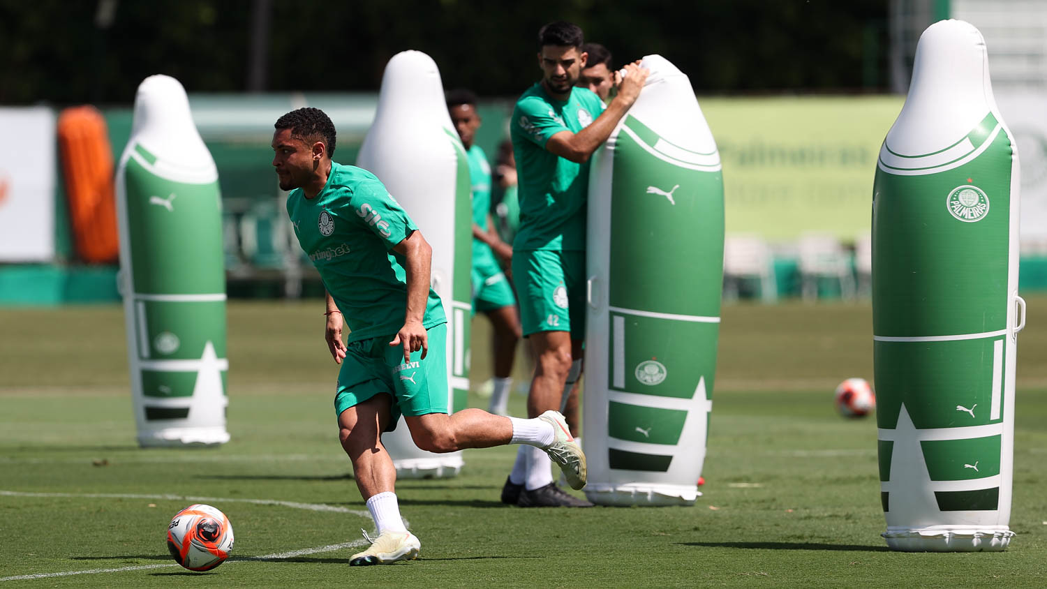 (Foto: Cesar Greco/Palmeiras)